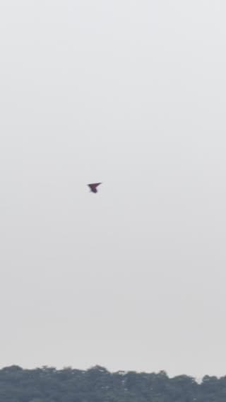A hang glider soaring above the Harris Hill ridge