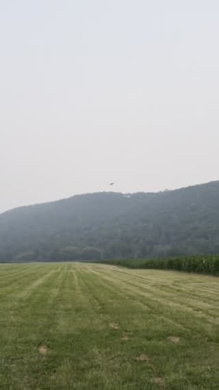 Free flight above the Elmira ridges